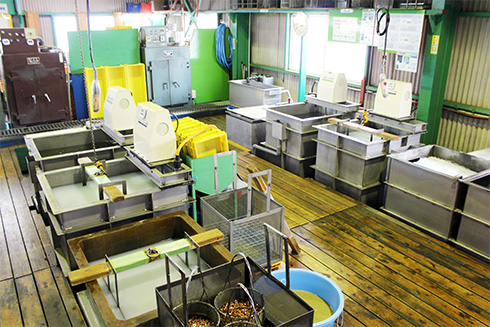 金属部品洗浄（超振動式洗浄システム）